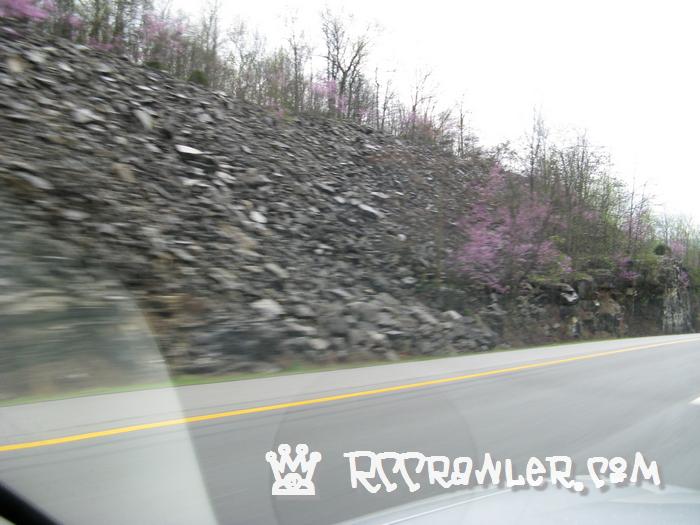 tennessee 028