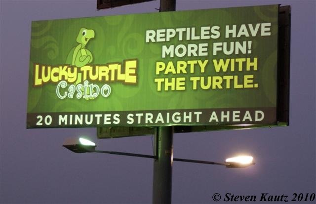 DSC06284_turtle (Small)WTMK.JPG