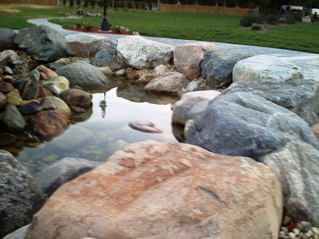 matterpark1.jpg