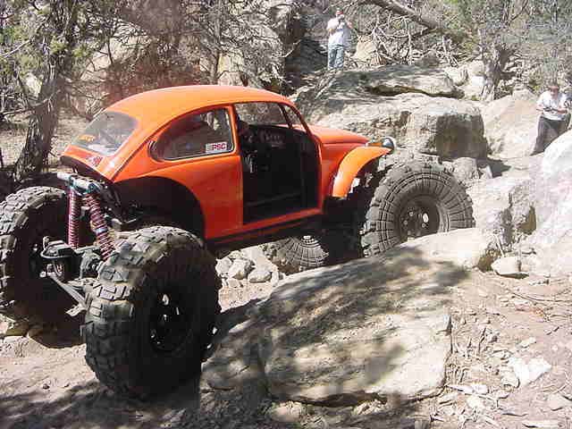 RockBeetle2.jpg