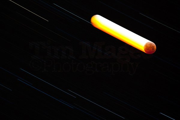 TimMagePhotography122110_1993_web.jpg