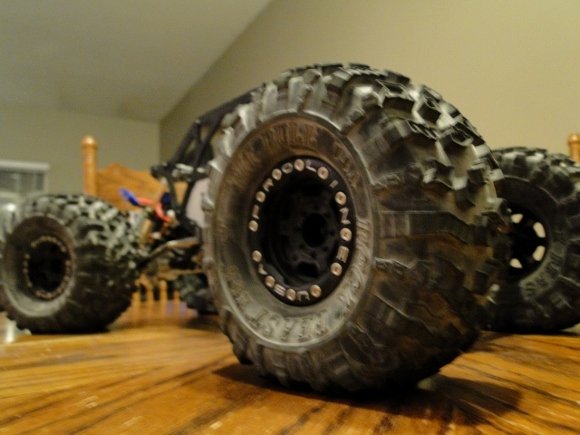 crawl4 (640x480) (580x435).jpg