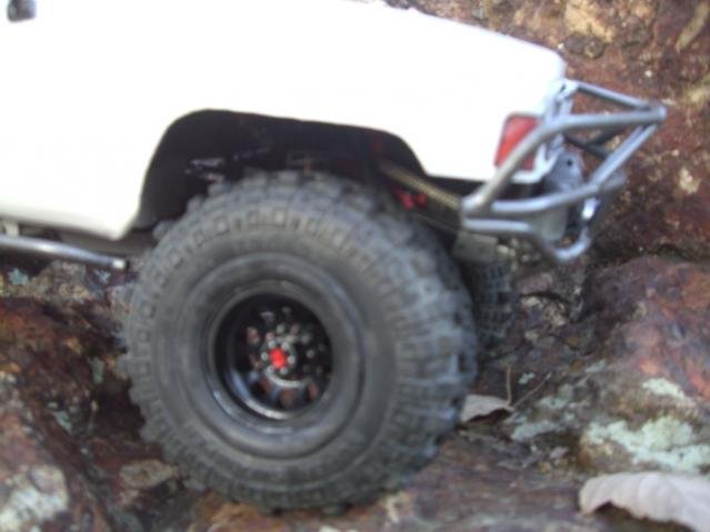 CIMG0430.jpg