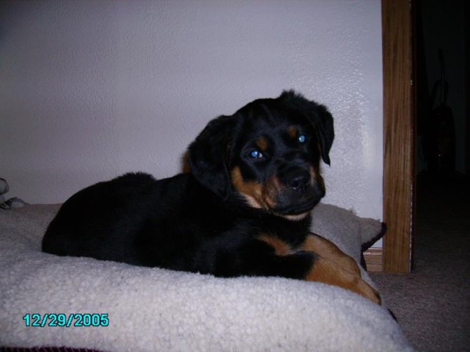 Picture 010.jpg