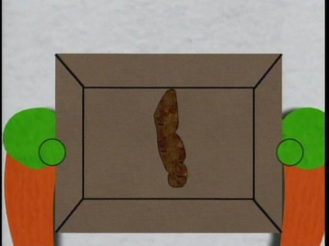 Poo.jpg