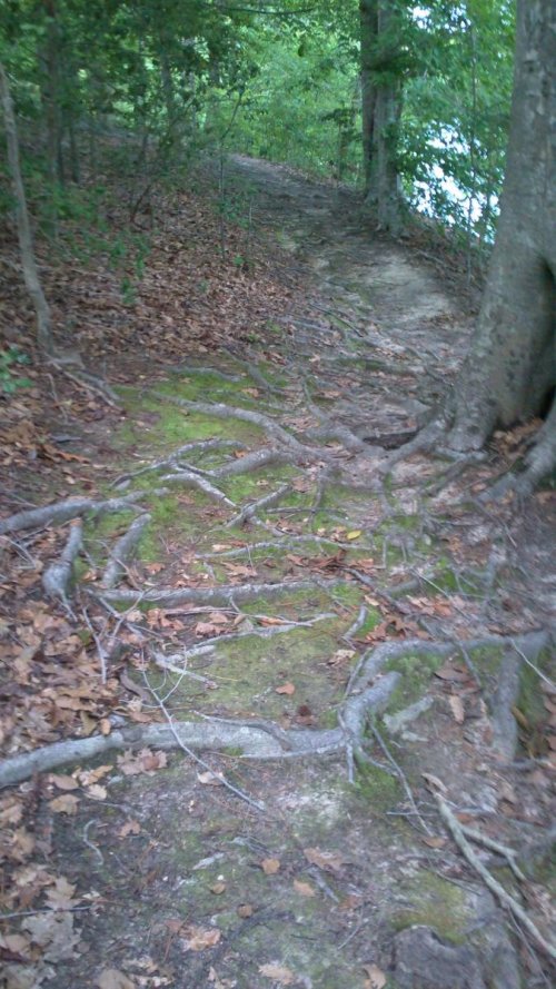 100_0031.jpg