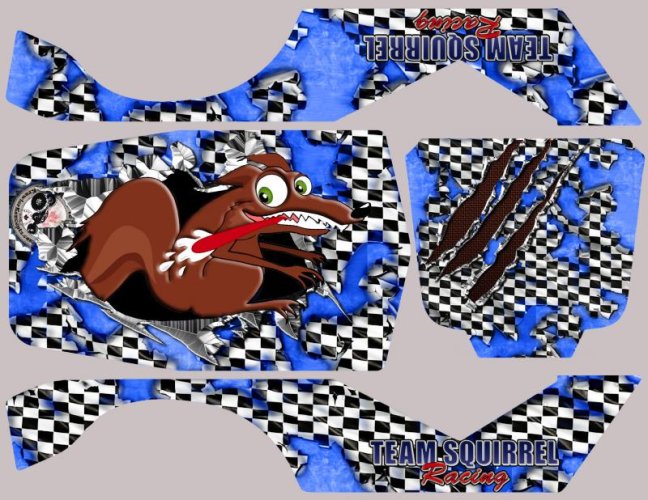wraith-squirretemplate3-fullsides copy.jpg