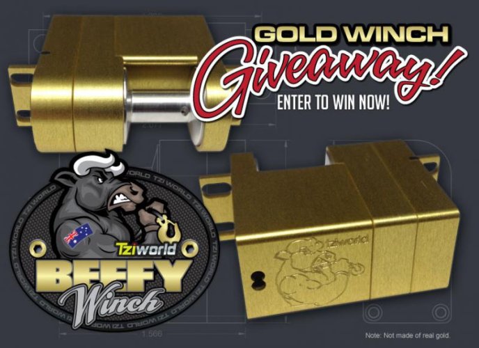 TZI_Gold_Giveaway_Header2trimd.jpg