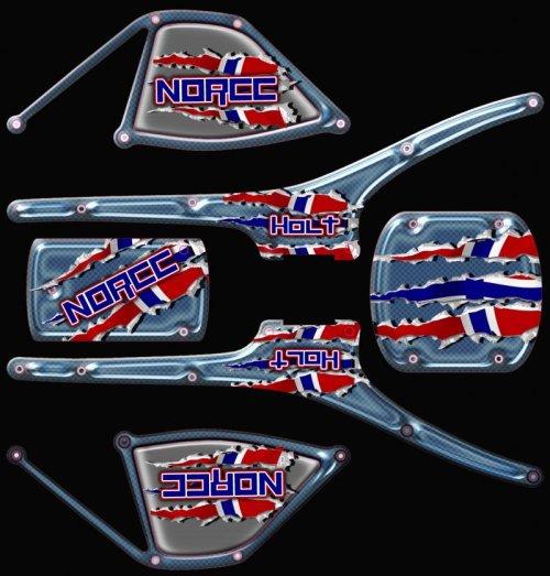 Car-holt2- CK Reptile copy.jpg