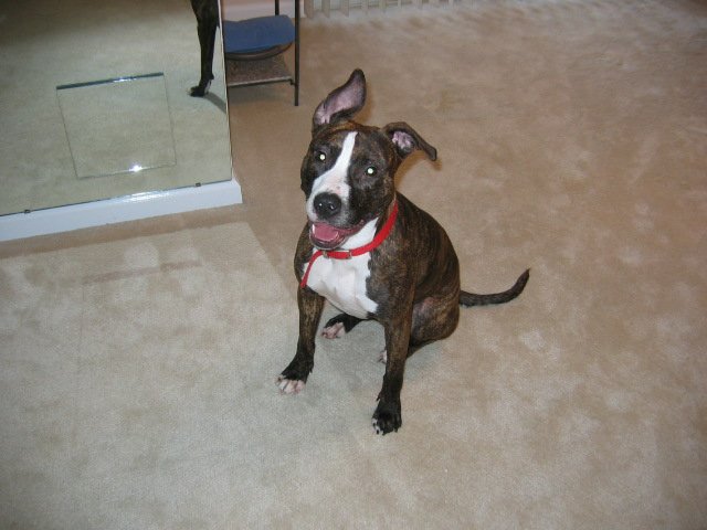 BRINKS_001.jpg