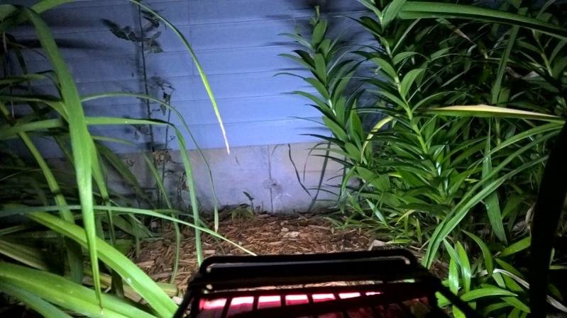 WP_20160718_21_30_44_Pro.jpg