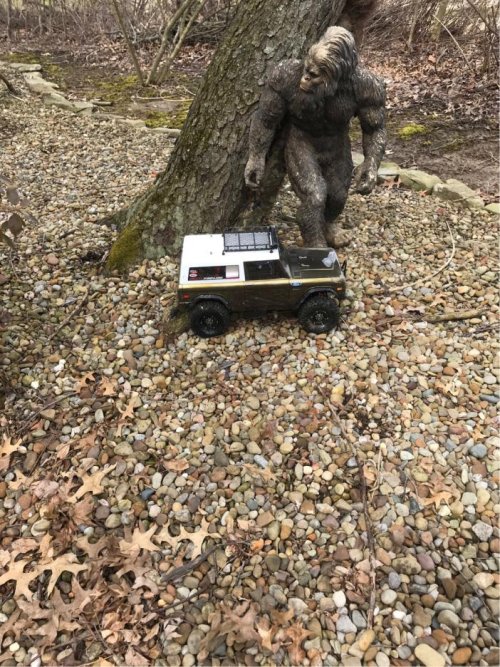 Sasquatch.jpg