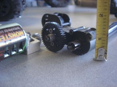 tr mip DSC00769 wb.JPG