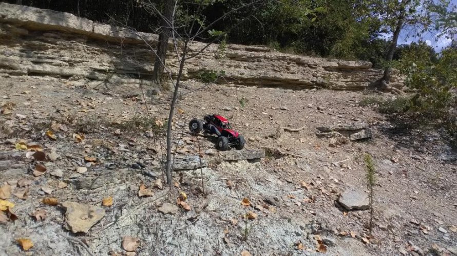 IMG_20210918_143749[1].jpg