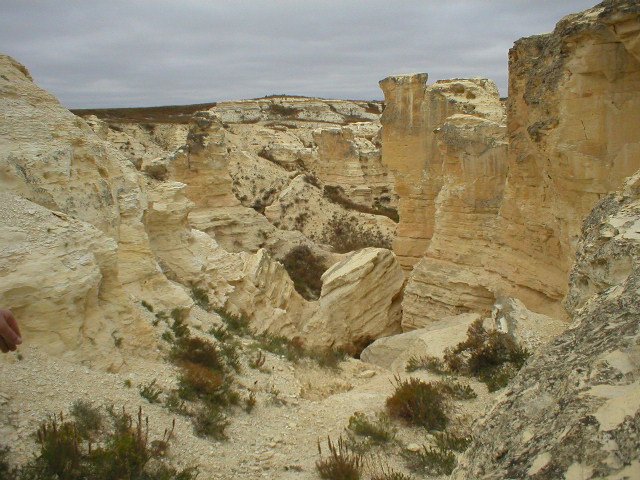 roadtrip 495.jpg