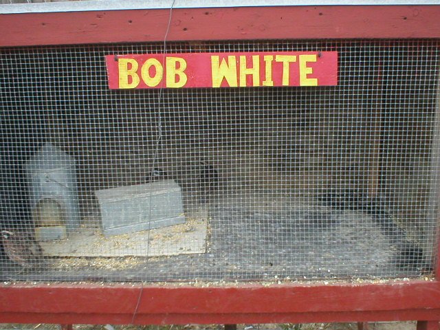 roadtrip 581.jpg