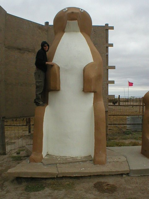 roadtrip 591.jpg