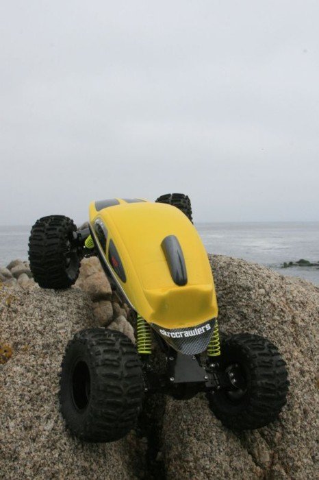 Resized Yellow bug in PG 2.jpg
