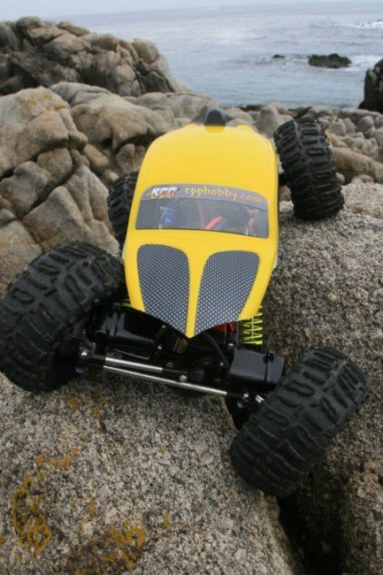 Resized Yellow bug in PG 3.jpg