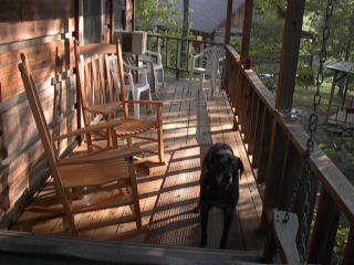 cabin2-porchwdog.jpg