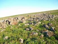 savoonga 020RR.jpg
