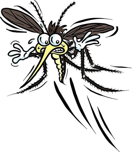 skeeter.jpg