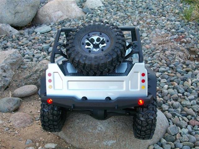SCX10 025 (Medium) (Small).jpg
