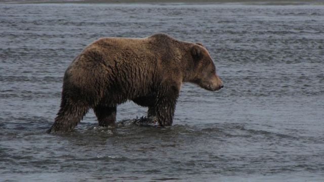 Alaska Trip 09 215.jpg