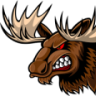 Mad Moose RC