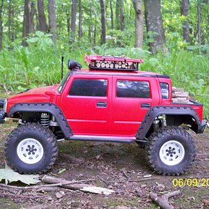 Hummer 033