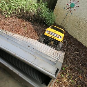 IMG 1541