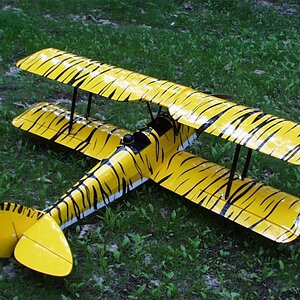 My Tiger Moth Bi Plane I just had to!