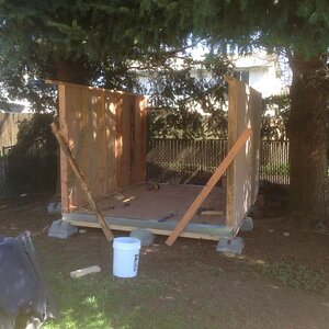 shed being built 1