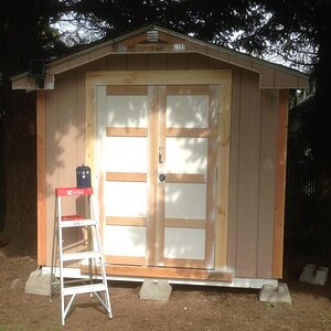 shed being built 3