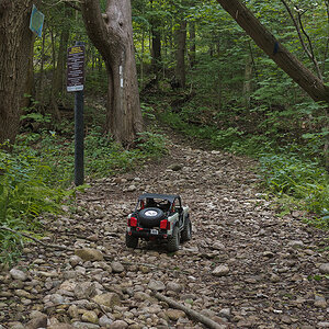 Falls Reserve 5