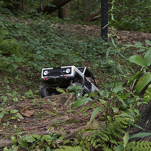 Falls Reserve 7