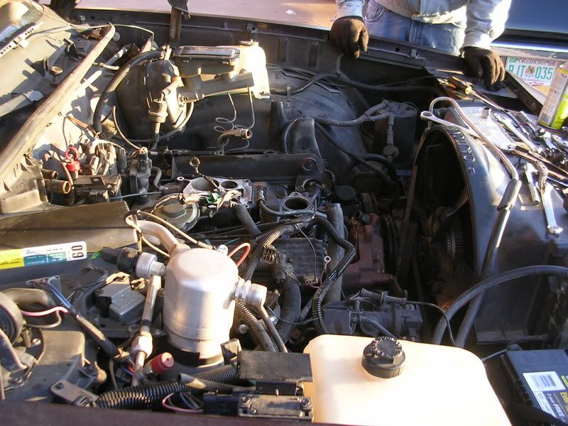 DSCN4237.jpg