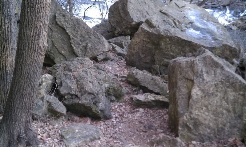 IMAG0185.jpg
