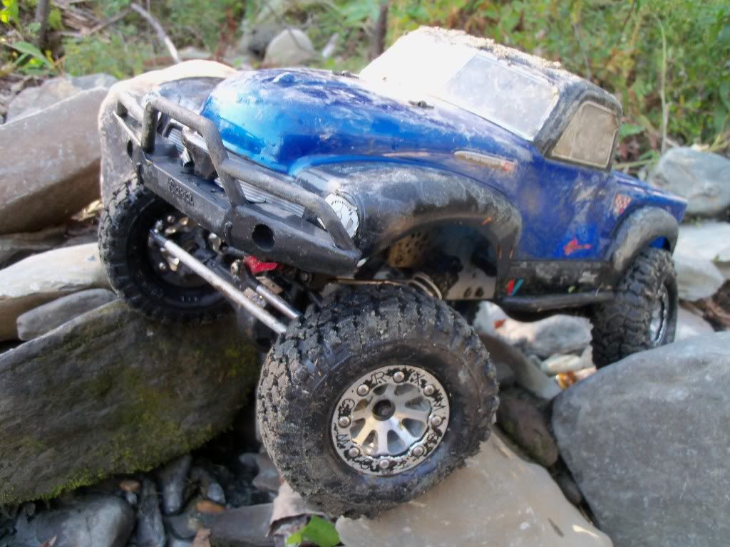 Sunnydaycrawling006.jpg