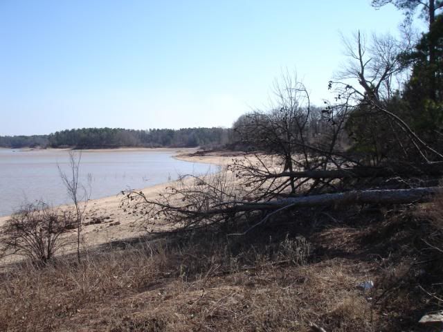 DSC06580.jpg