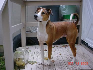 mitzi059.jpg