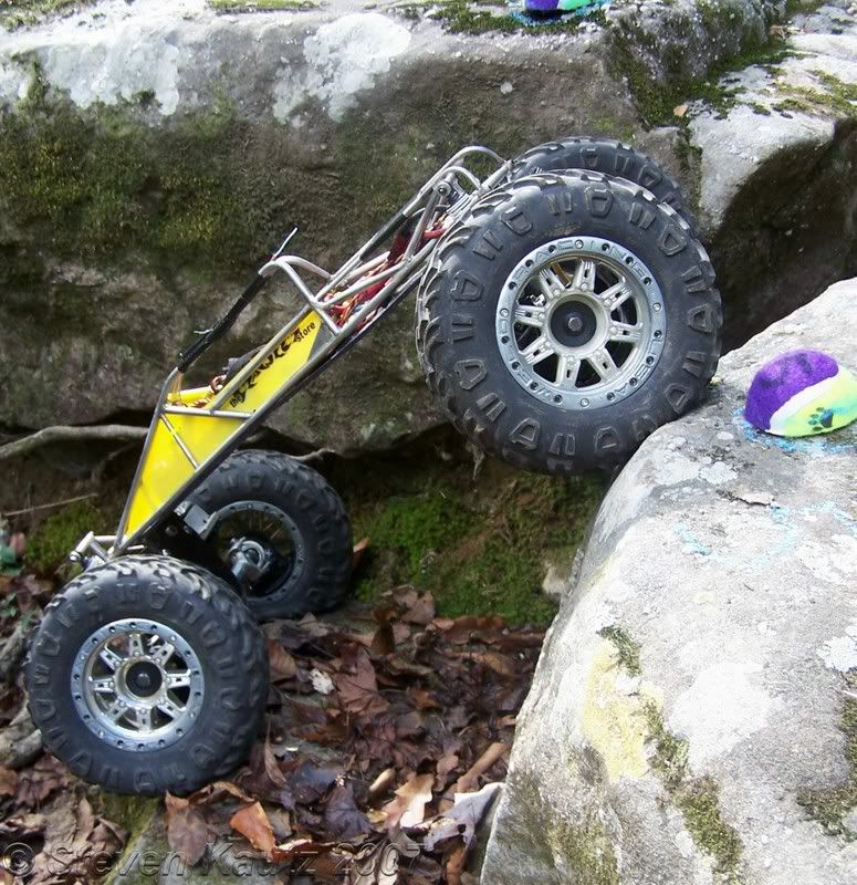 100_7724WTMK.jpg