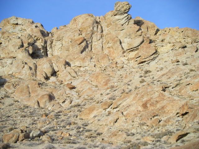 DSCF3093.jpg