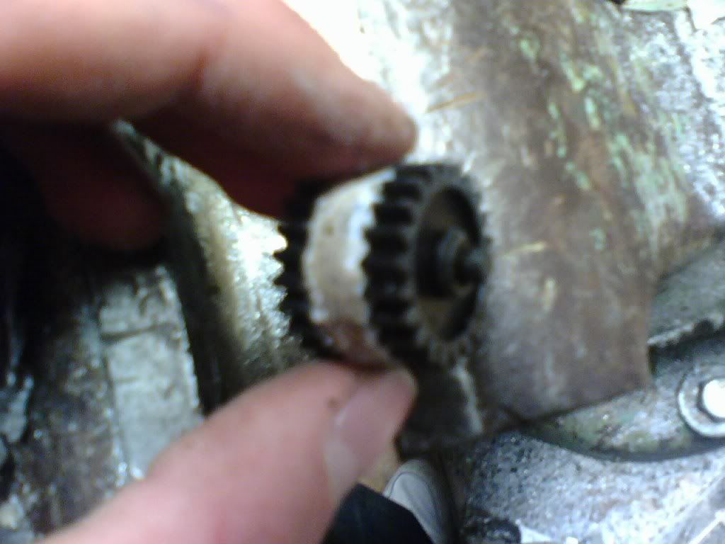 1016081841.jpg