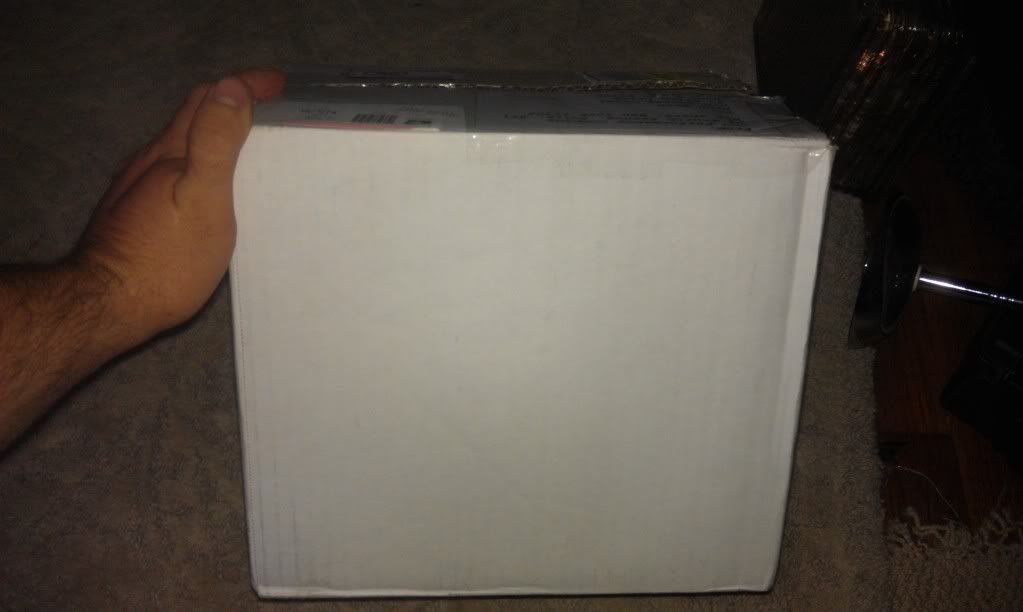 IMAG0783.jpg