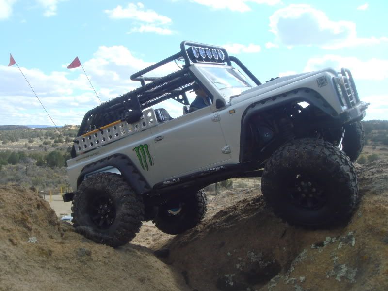 Dingo22.jpg