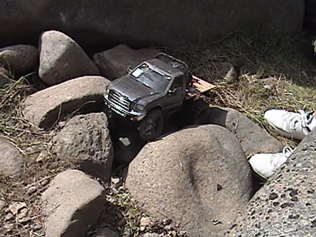 DSC00435.jpg