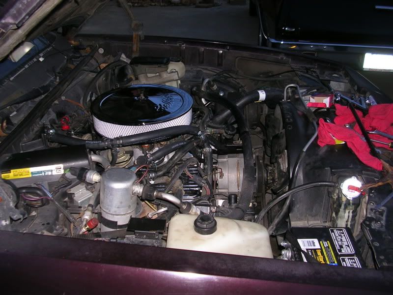 pic2465734577445062-1.jpg