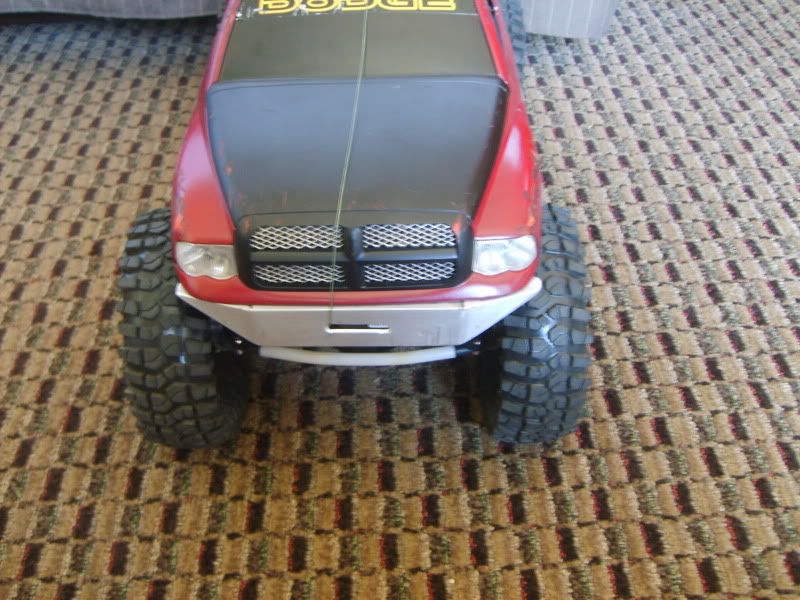S5003751.jpg
