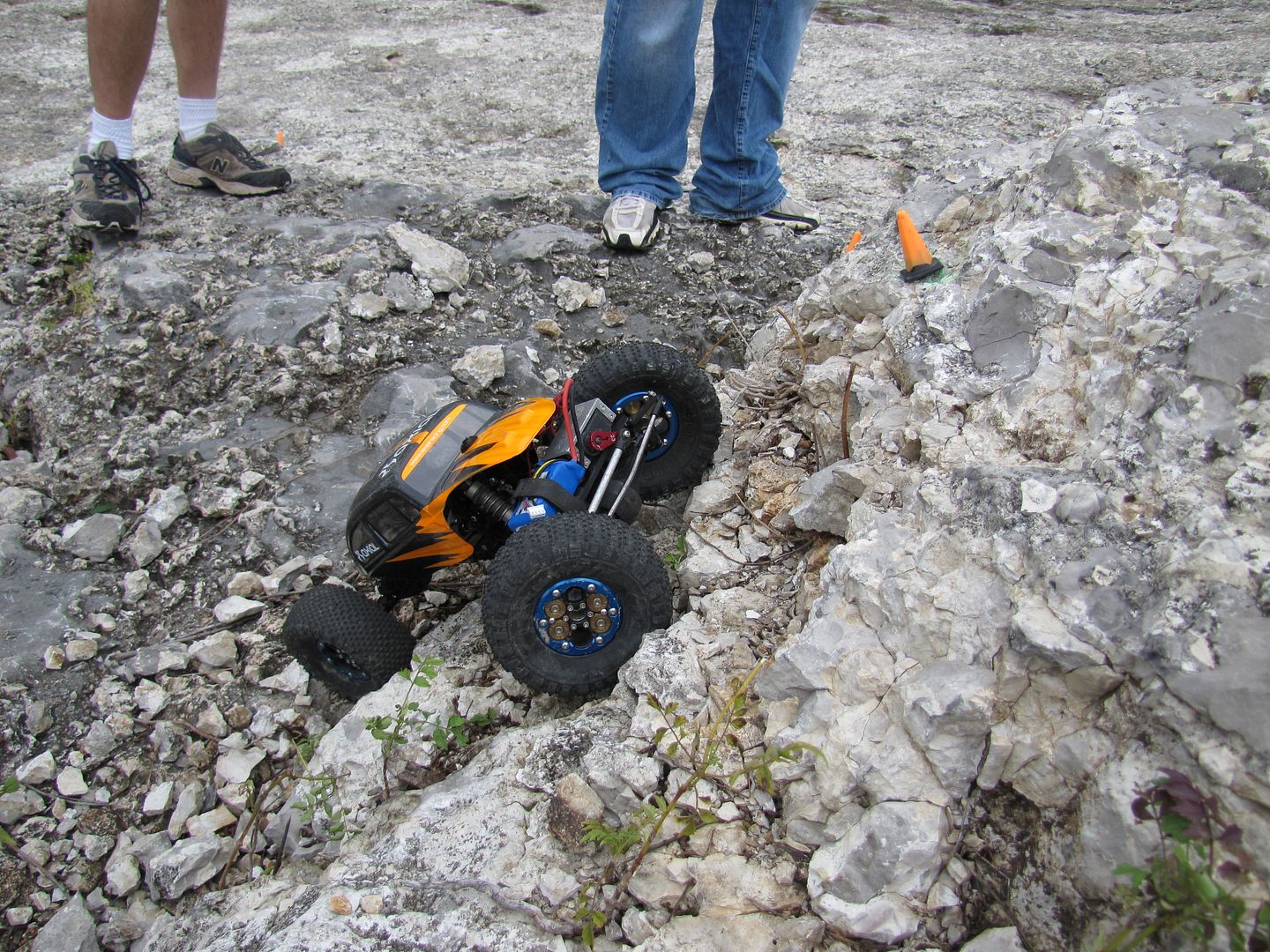 IMG_1031.jpg